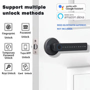 Keyless Smart Fingerprint Lock