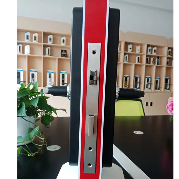 Smart Fingerprint and Digital Code Door Lock 